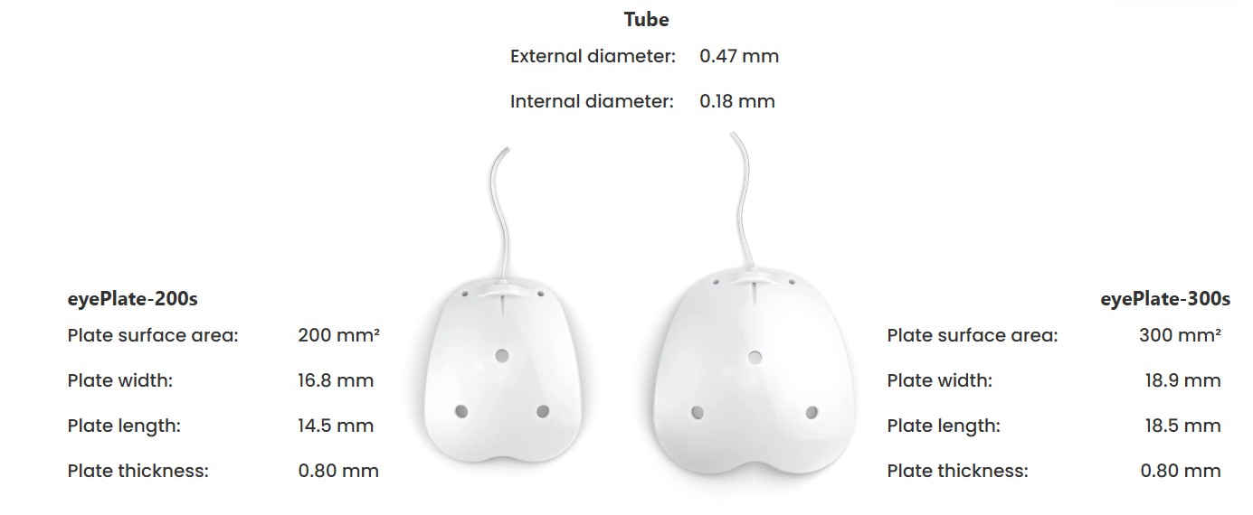 Immagine 2025-09-24 103841